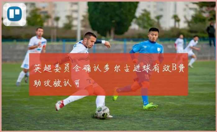 英超委员会确认多尔古进球有效B费助攻被认可